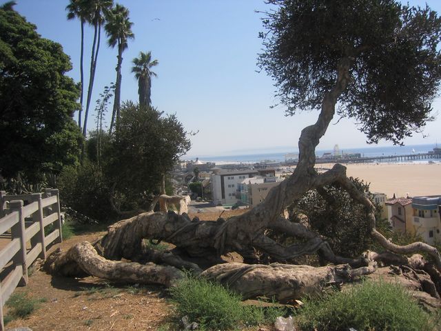 IMG_4321.JPG