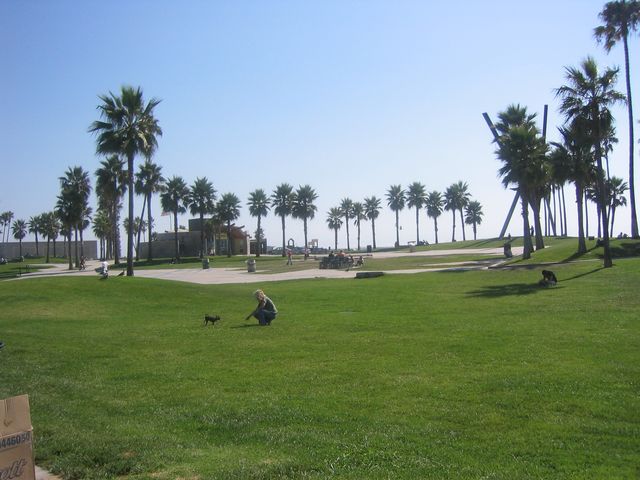 IMG_4331.JPG