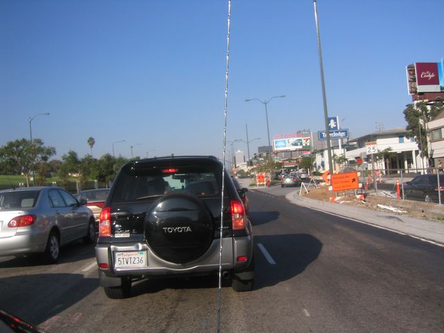 IMG_4341.JPG
