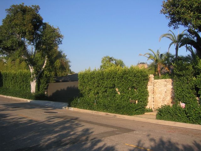 IMG_4354.JPG