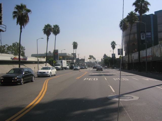 IMG_4374.JPG