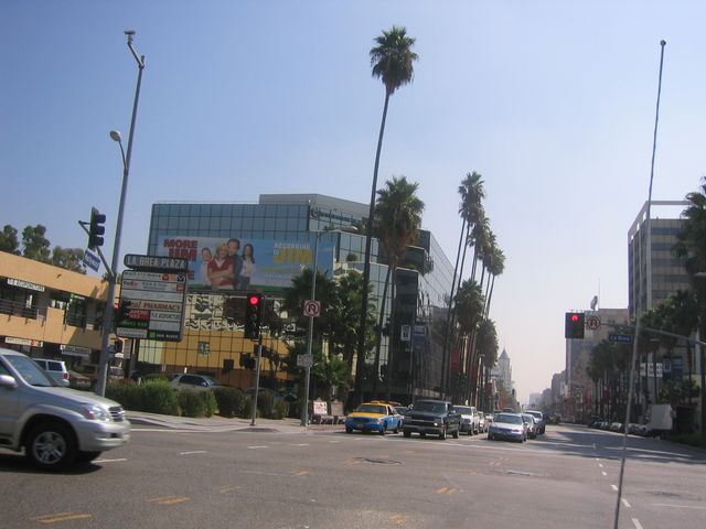 IMG_4376.JPG