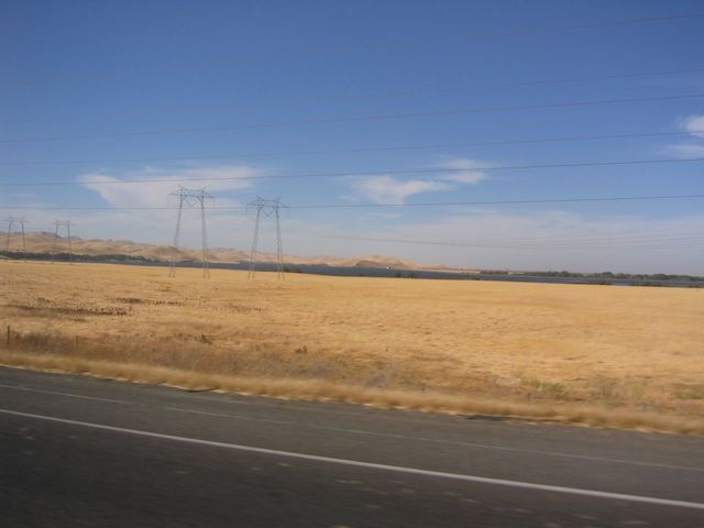 IMG_4406.JPG