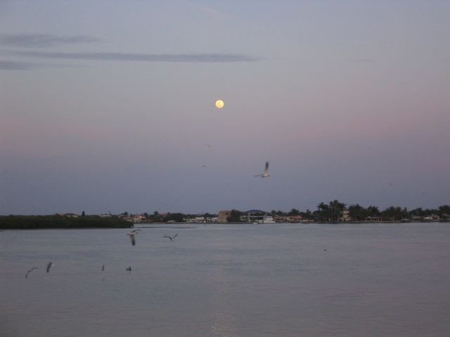 IMG_5157.JPG