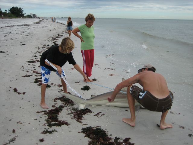 IMG_0341.JPG