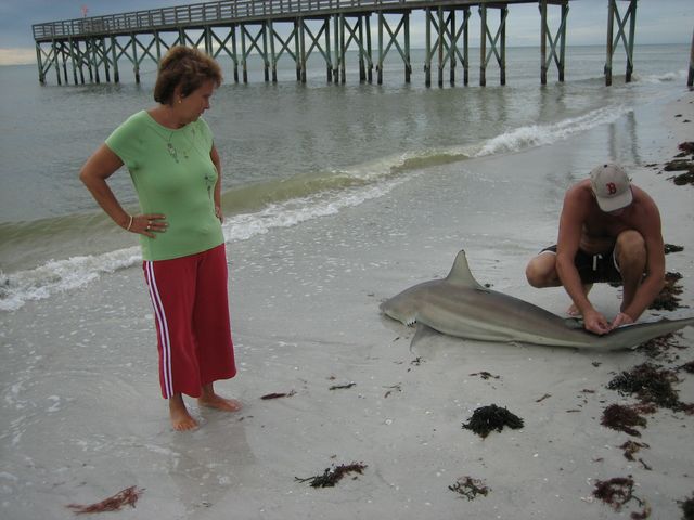 IMG_0342.JPG