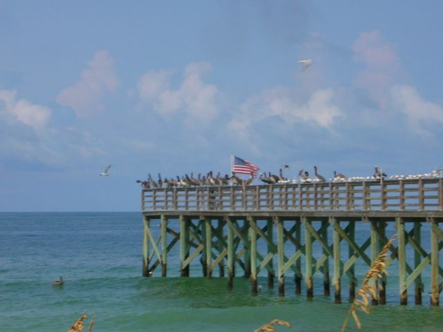 DSCN0755.JPG