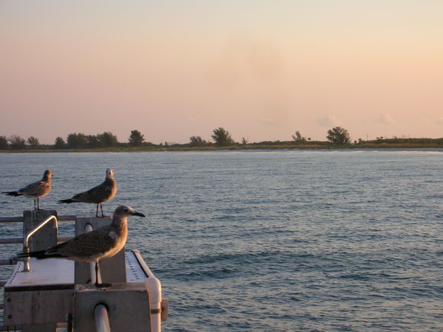 DSCN0817.JPG