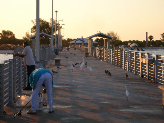 DSCN0818.JPG