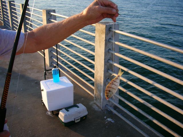 DSCN0819.JPG