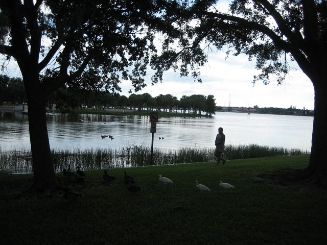 IMG_1350.JPG