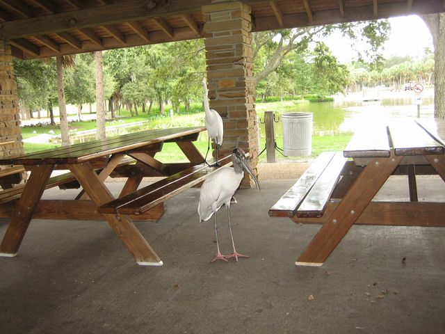 IMG_1355.JPG