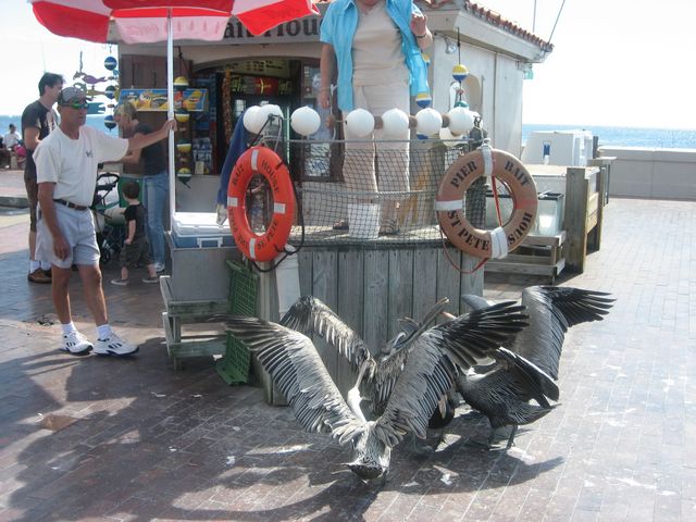 IMG_1454.JPG