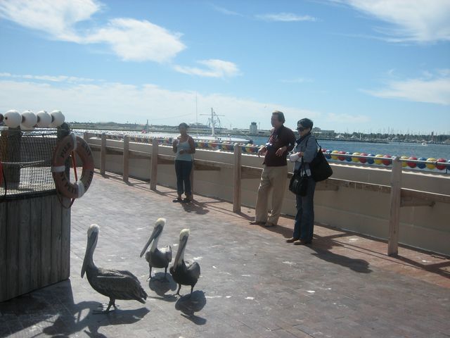 IMG_1457.JPG