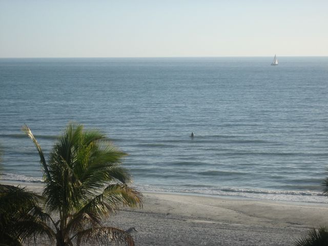 IMG_1587.JPG