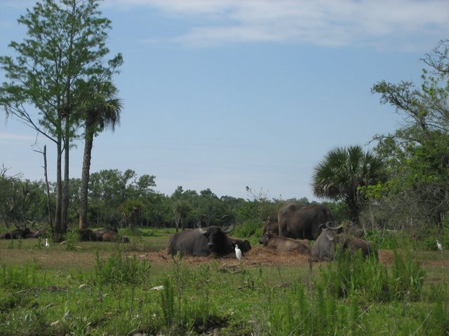 IMG_0788.JPG
