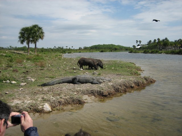 IMG_0796.JPG