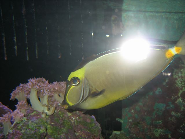 IMG_0636.JPG