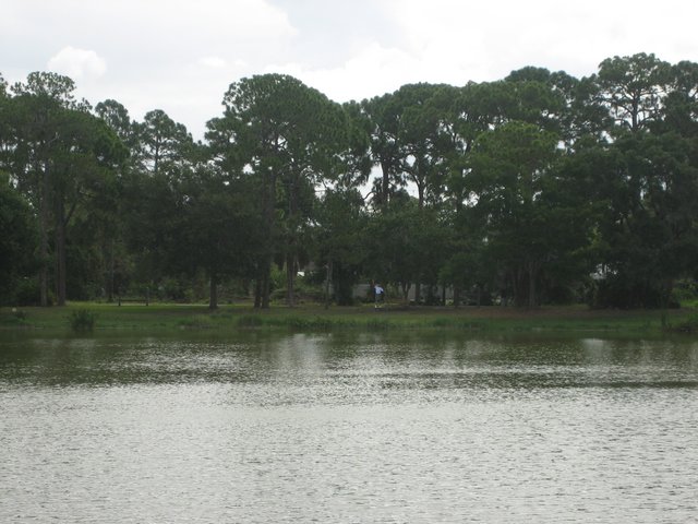IMG_0931.JPG