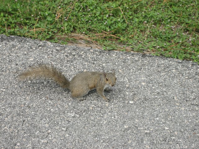 IMG_0934.JPG