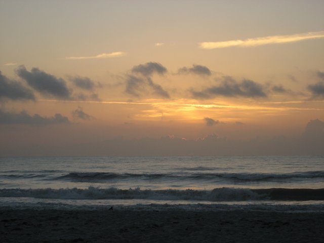 IMG_0990.JPG