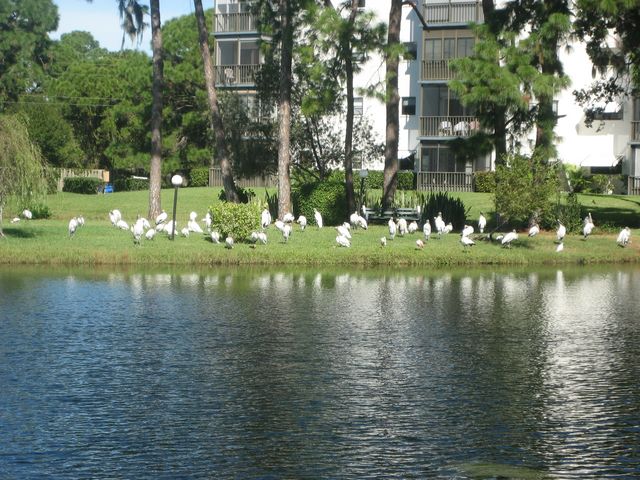 IMG_2543.JPG