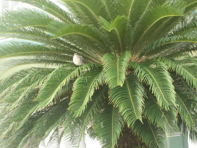 IMG_2544.JPG