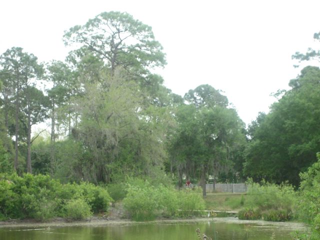 IMG_1871.JPG