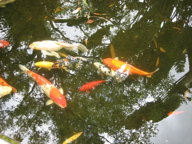 IMG_1900.JPG