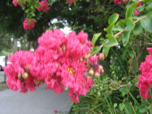 IMG_2286.JPG