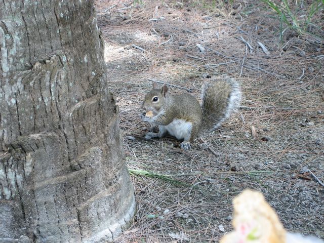 IMG_2401.JPG