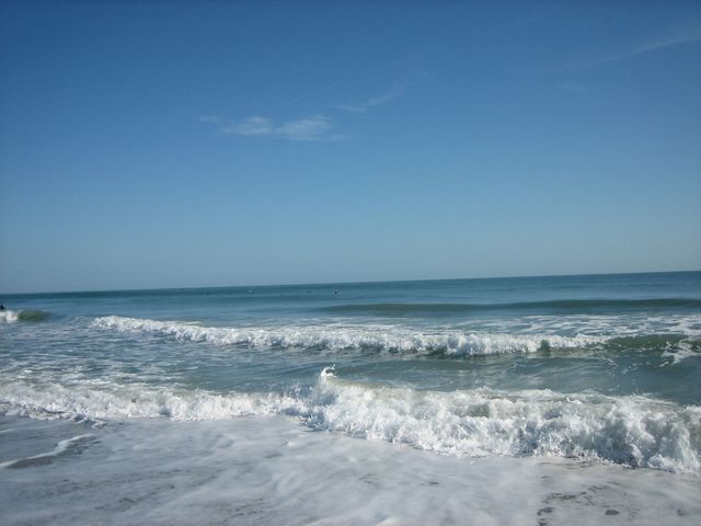 IMG_1619.JPG
