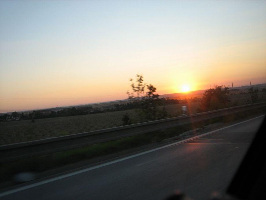 IMG 3284