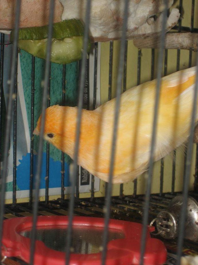 IMG 3511