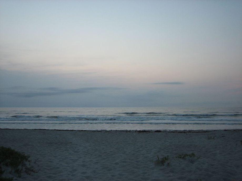 IMG 3878