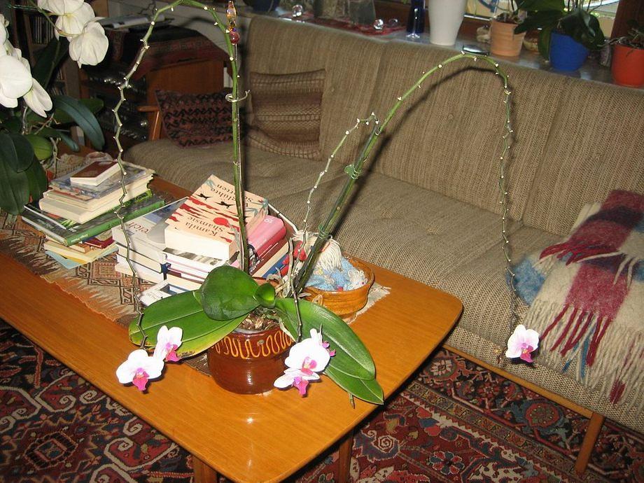 Evropa2011 024