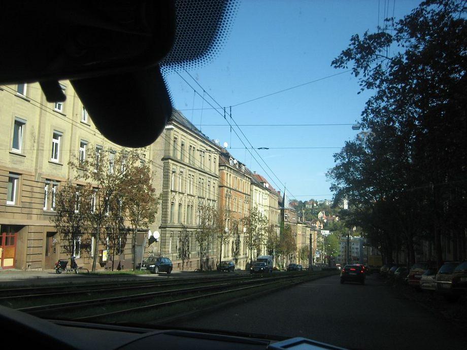 IMG 4885