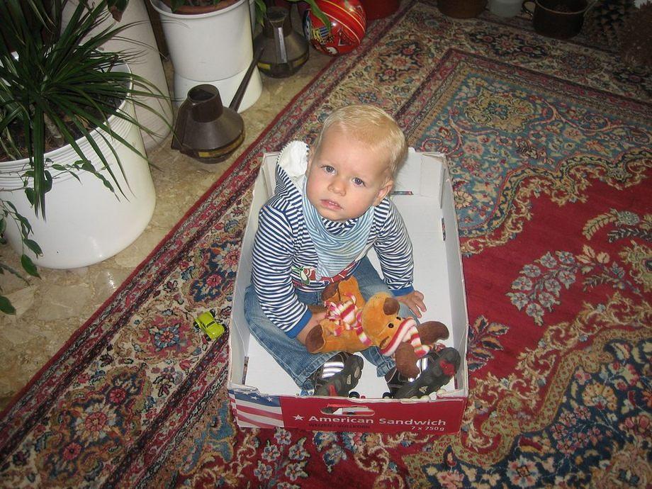 IMG 4929