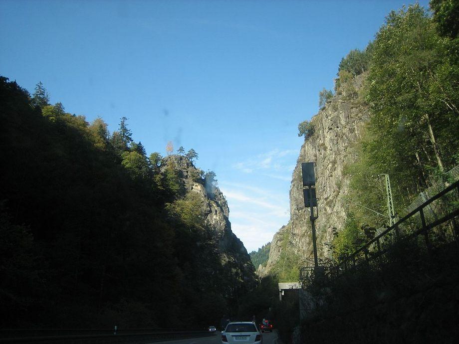IMG 4998
