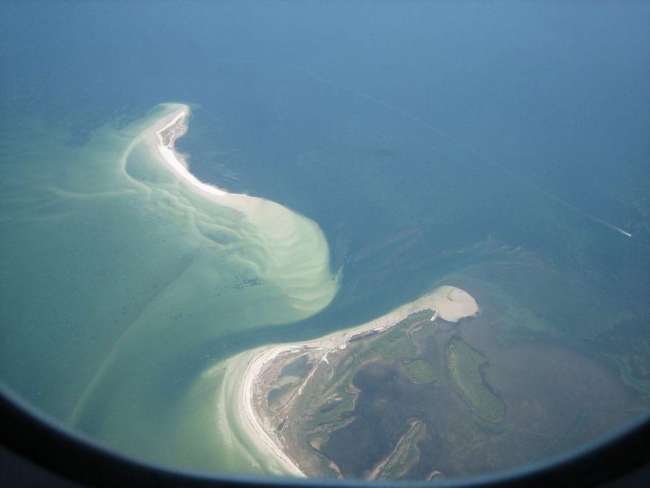 Hura Florida,  IMG 5065
