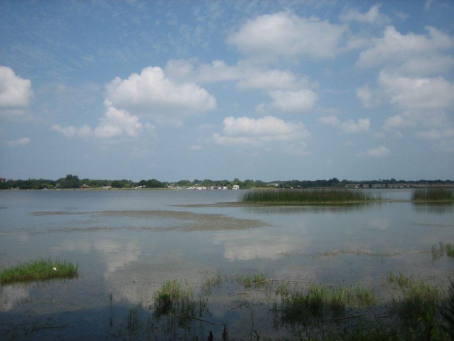 6/8/11 Lake Seminole IMG 3912