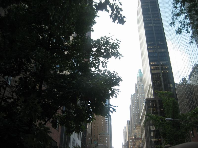IMG 5936