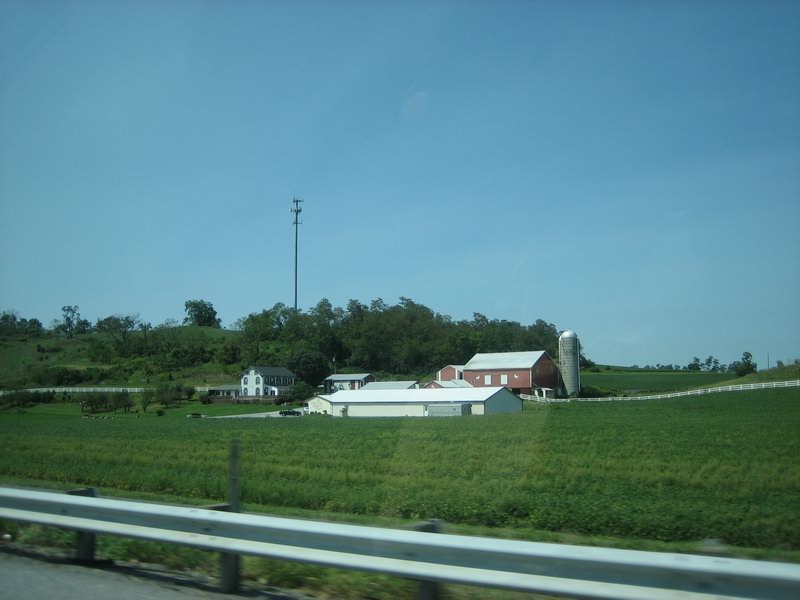 IMG 6012