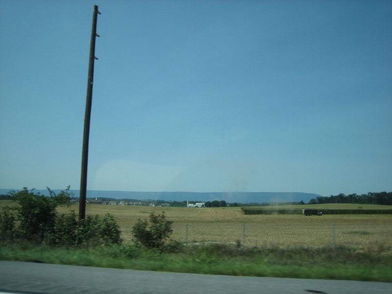 IMG 6013