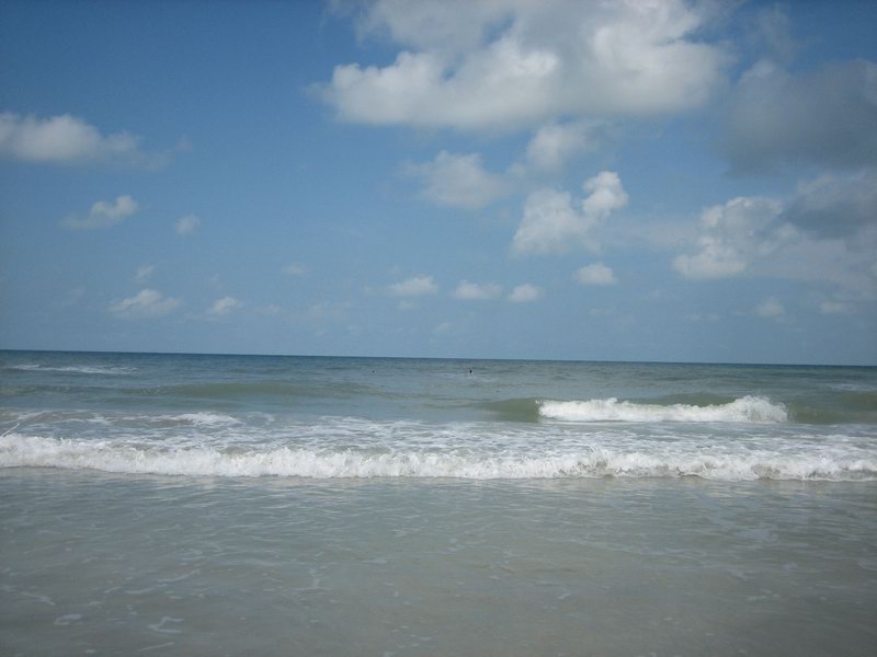 IMG 6548
