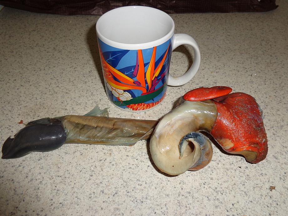 DSC00060