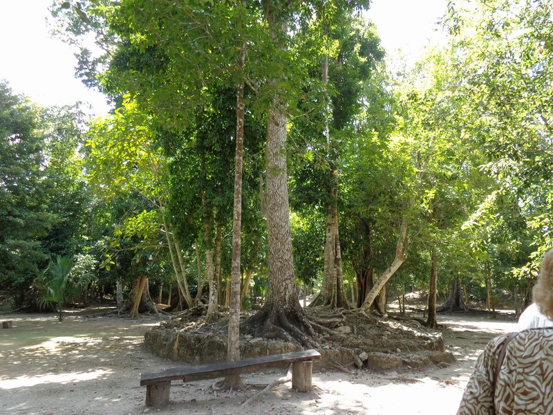 DSC00408