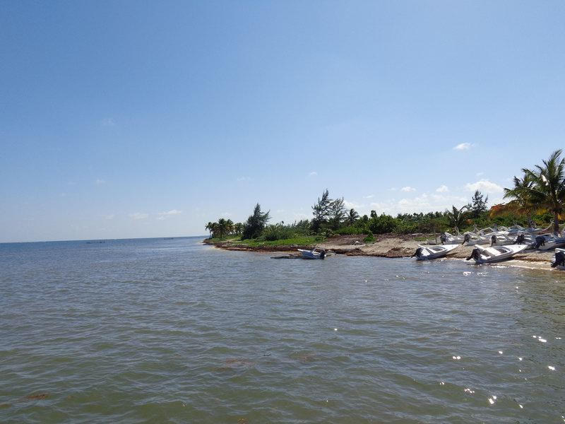 DSC00421