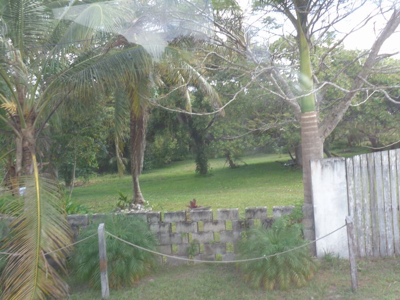 DSC00446
