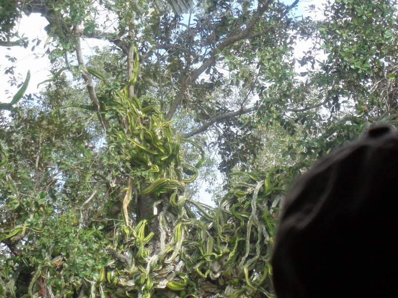 DSC00447